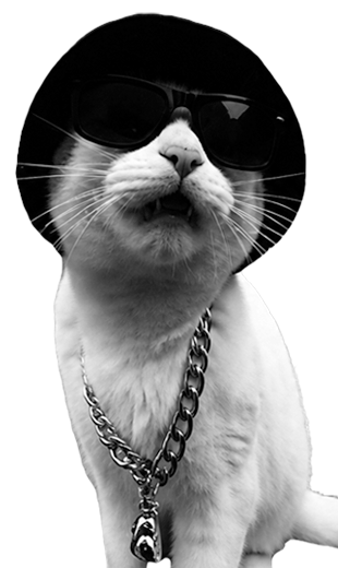 Кот баса