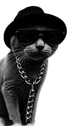 Кот мяу